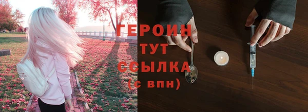 индика Вяземский