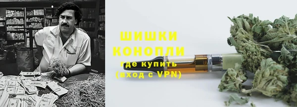 индика Вяземский