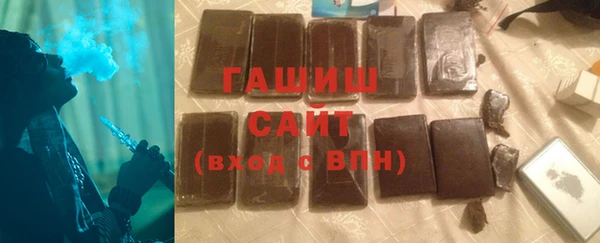 индика Вяземский