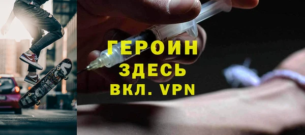 индика Вяземский