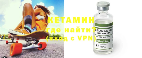 индика Вяземский