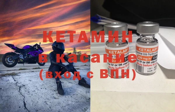 индика Вяземский