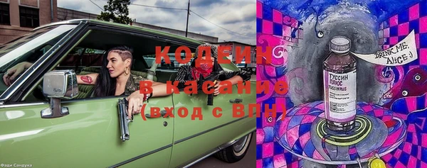индика Вяземский