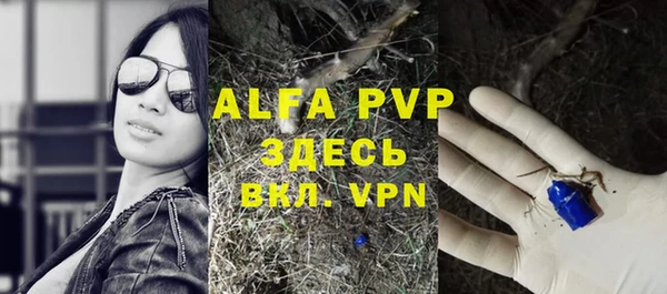 индика Вяземский