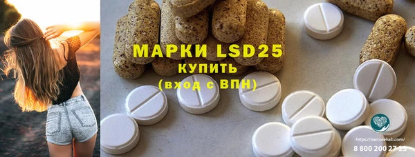 индика Вяземский