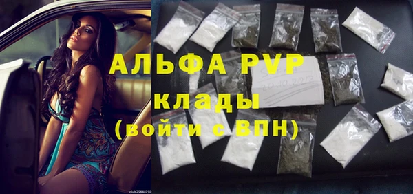 индика Вяземский