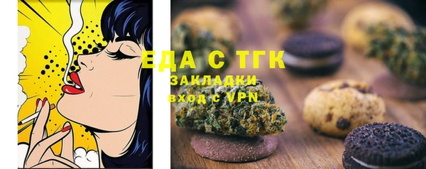 индика Вяземский