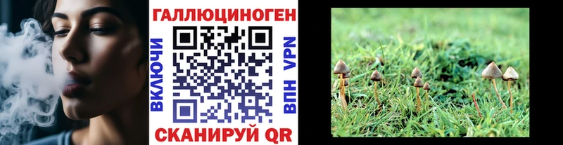 Галлюциногенные грибы Magic Shrooms  Купить  Аткарск 